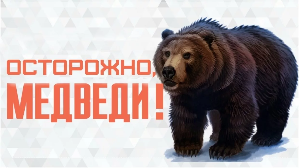 Медведь какую опасность представляет для человека. Осторожно, медведь!. осторожно бурый медведь. внимание медведь.